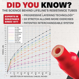 Lifeline Resistance Kit