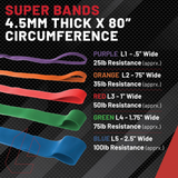 Lifeline Fitness Super Band