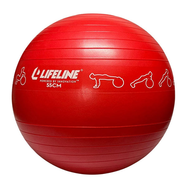 Lifeline Fitness Exercise Ball – Exercise Equipment for Home Gym, Ideal for Core Strength Training and Balance Workouts, Yoga, and Pilates from Lifeline Fitness for Yoga and Pilates, compared to Wholesale Yoga Mat. 