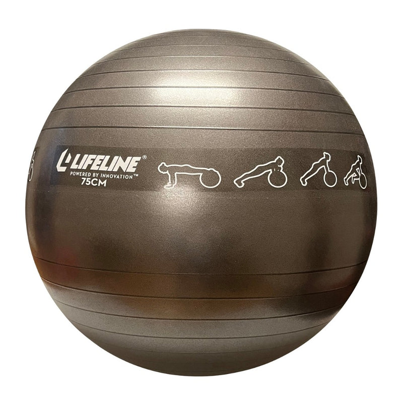 The Exercise Ball from Lifeline Fitness for Workout exercise for abs and Ab machines, compared to Fitness Factory. 