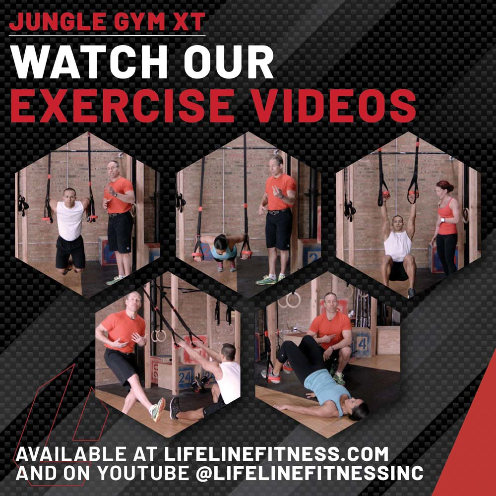 Lifeline Fitness Jungle Gym XT