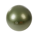 The Natural Fitness PRO Burst Resistant Exercise Ball from Lifeline Fitness for Ab exerciser and home gym. 