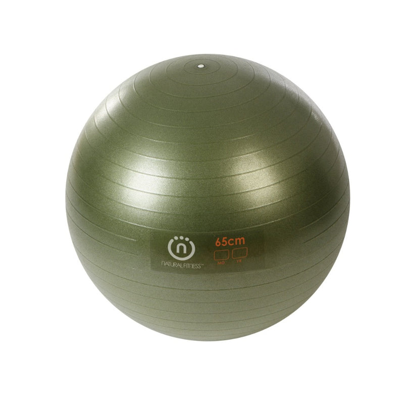 The Natural Fitness PRO Burst Resistant Exercise Ball from Lifeline Fitness for yoga and home gym. 